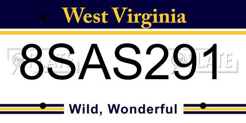8SAS291 West Virginia License Plate