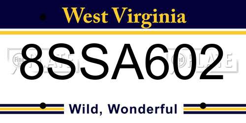 8SSA602 West Virginia License Plate