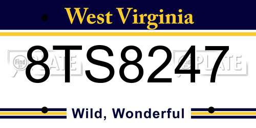 8TS8247 West Virginia License Plate