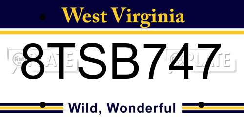 8TSB747 West Virginia License Plate