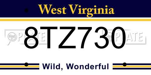 8TZ730 West Virginia License Plate