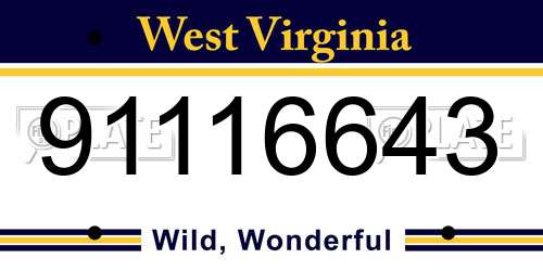 91116643 West Virginia License Plate