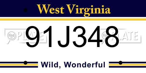 91J348 West Virginia License Plate