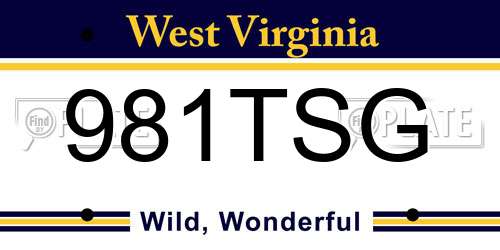 981TSG West Virginia License Plate