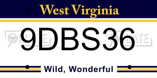 9DBS36 West Virginia License Plate