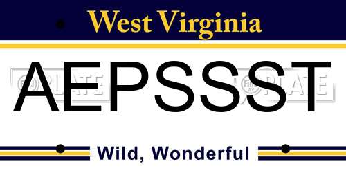 AEPSSST West Virginia License Plate