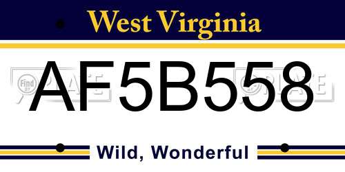 AF5B558 West Virginia License Plate
