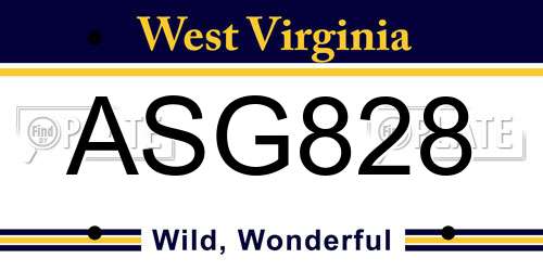 ASG828 West Virginia License Plate