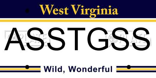 ASSTGSS West Virginia License Plate