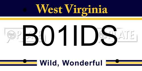 B01IDS West Virginia License Plate