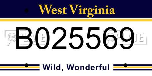 B025569 West Virginia License Plate