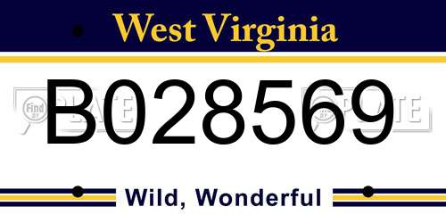 B028569 West Virginia License Plate