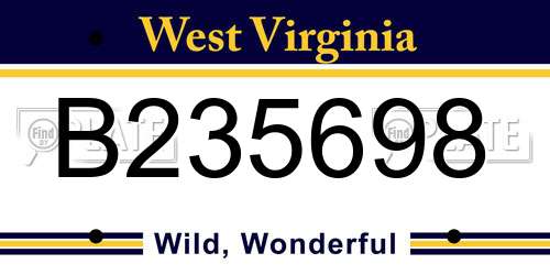 B235698 West Virginia License Plate