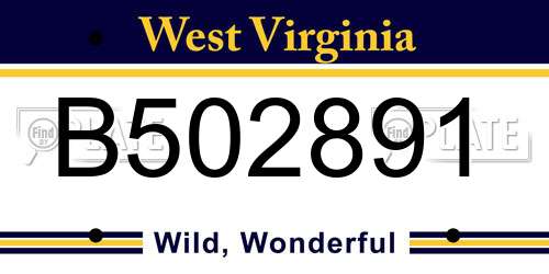 B502891 West Virginia License Plate