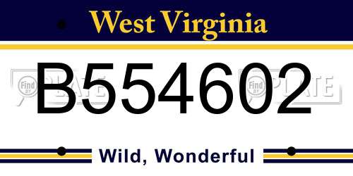 B554602 West Virginia License Plate