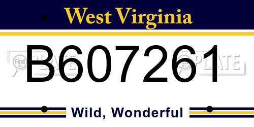 B607261 West Virginia License Plate