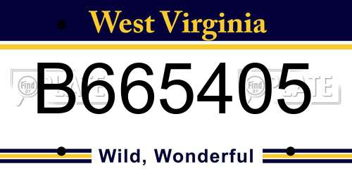 B665405 West Virginia License Plate