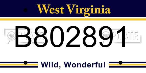 B802891 West Virginia License Plate