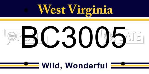 BC3005 West Virginia License Plate