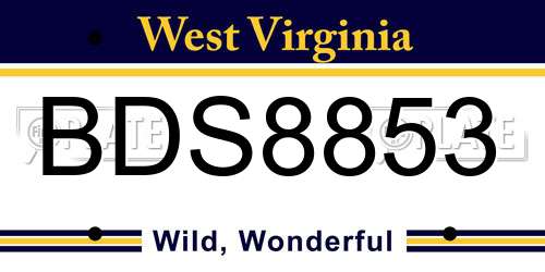 BDS8853 West Virginia License Plate