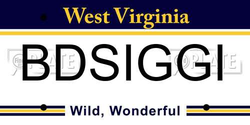BDSIGGI West Virginia License Plate