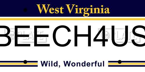 BEECH4US West Virginia License Plate