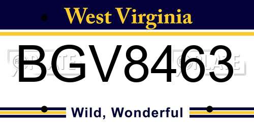 BGV8463 West Virginia License Plate