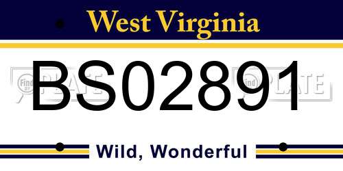 BS02891 West Virginia License Plate