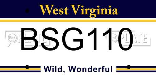 BSG110 West Virginia License Plate