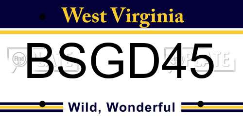 BSGD45 West Virginia License Plate