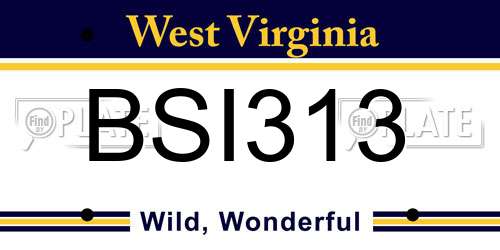 BSI313 West Virginia License Plate