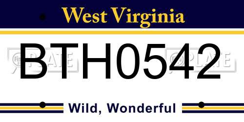 BTH0542 West Virginia License Plate