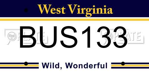 BUS133 West Virginia License Plate