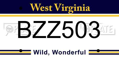 BZZ503 West Virginia License Plate