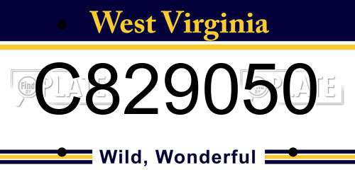 C829050 West Virginia License Plate