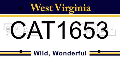 CAT1653 West Virginia License Plate