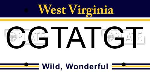 CGTATGT West Virginia License Plate