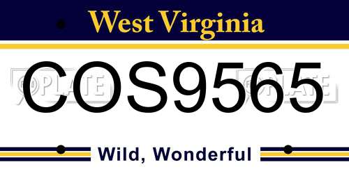 COS9565 West Virginia License Plate