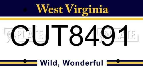 CUT8491 West Virginia License Plate