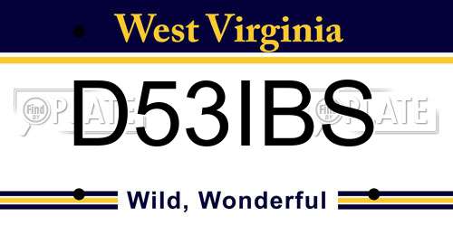 D53IBS West Virginia License Plate