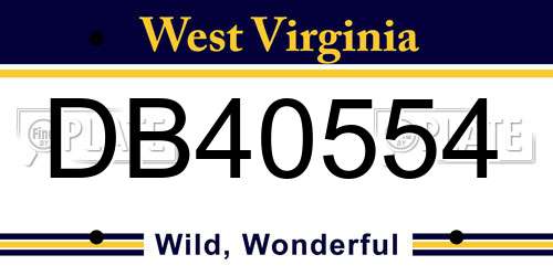 DB40554 West Virginia License Plate
