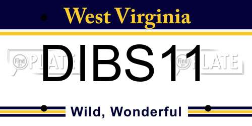 DIBS11 West Virginia License Plate