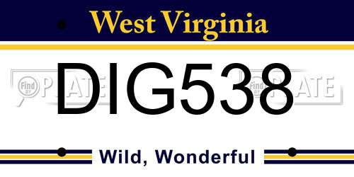 DIG538 West Virginia License Plate