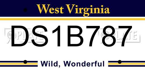 DS1B787 West Virginia License Plate