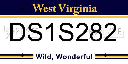 DS1S282 West Virginia License Plate