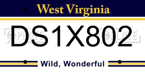 DS1X802 West Virginia License Plate