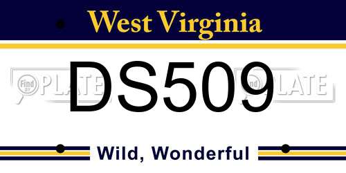 DS509 West Virginia License Plate
