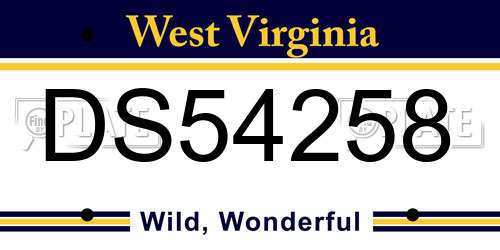 DS54258 West Virginia License Plate