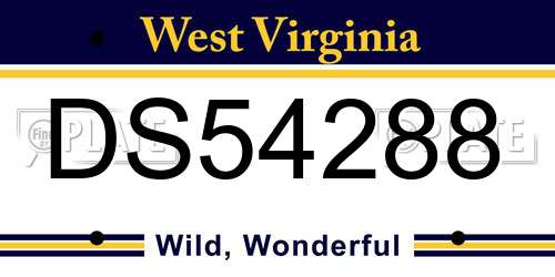 DS54288 West Virginia License Plate