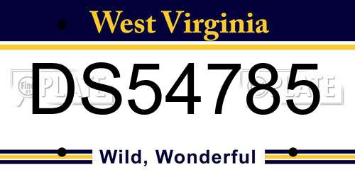 DS54785 West Virginia License Plate